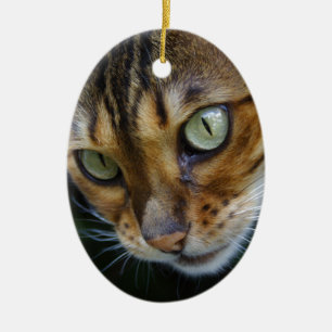 Ornamento De Cerâmica Bengala Cat