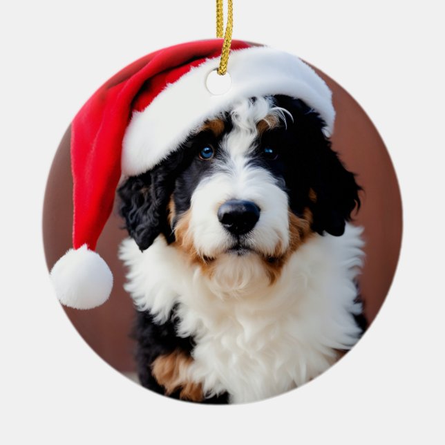 Ornamento De Cerâmica Bernedoodle Christmas (Frente)