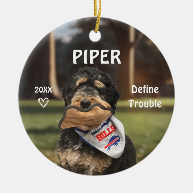 Ornamento De Cerâmica Bernese Mountain Dog Photo Ornament (Frente)