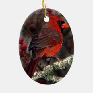 Ornamento De Cerâmica Berries brancos Cardeal Vermelho Primitivo de Nata