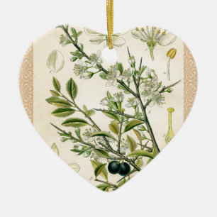 Ornamento De Cerâmica Berry Impressão Botânico Antiquado Blackthorn