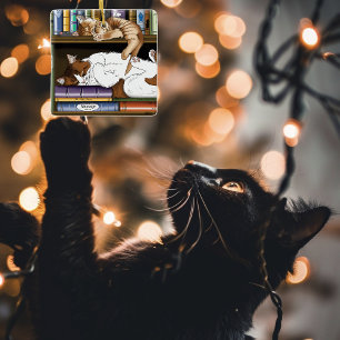 Ornamento De Cerâmica Biblioteca do Book Shelf Cats