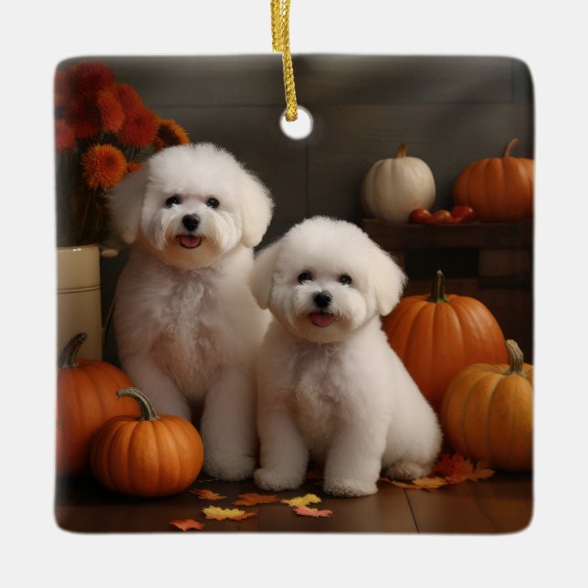Ornamento De Cerâmica Bichon Frise Puppy Autumn Delight Pumpkin (Frente)