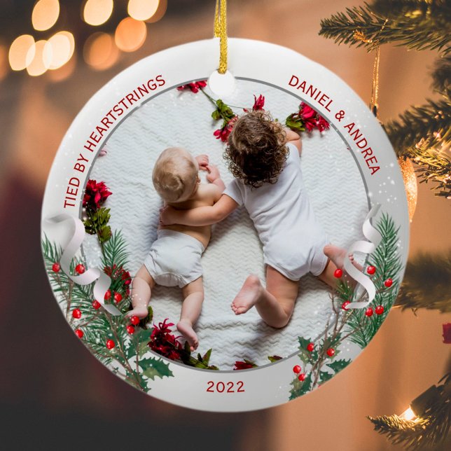 Ornamento De Cerâmica Big Bro 1rua Natal Classic Silver Plant Frame O (Criador carregado)