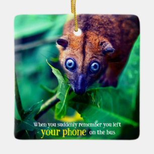 Ornamento De Cerâmica Big Eyed Possum