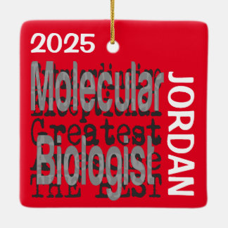 Ornamento De Cerâmica Biólogo Molecular Extraordinário PERSONALIZADO
