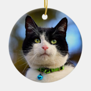 Ornamento De Cerâmica Black and White Shorthair Cat