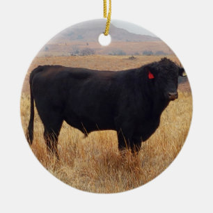 Ornamento De Cerâmica Black Angus Steer Grazing com seu Herd