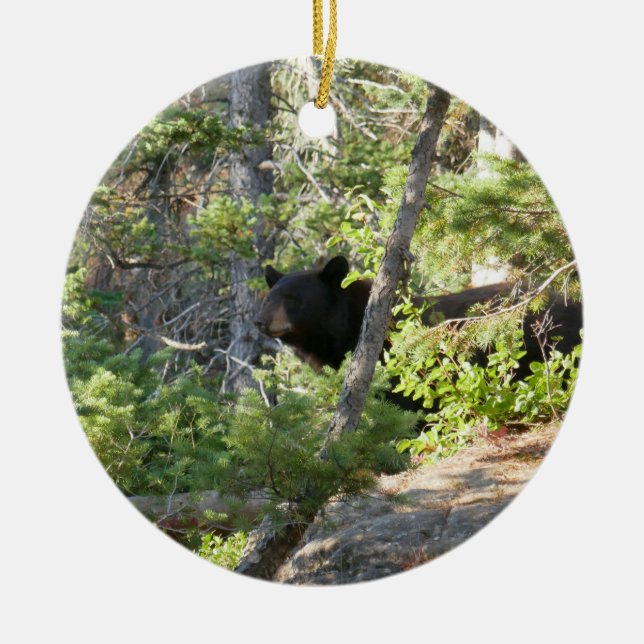 Ornamento De Cerâmica Black Bear at Grand Teton (Frente)