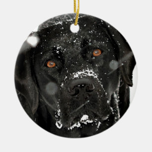 Ornamento De Cerâmica Black Labrador - Globo de Neve