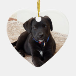 Ornamento De Cerâmica Black Labrador Retriever Puppy