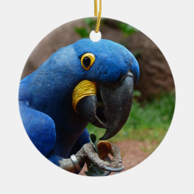 Ornamento De Cerâmica blauaras (Frente)