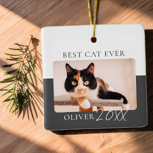 Ornamento De Cerâmica Bloco de Cor Moderno Personalizado Melhor Gato de