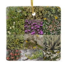 Blooming by the Sea: Asilomar