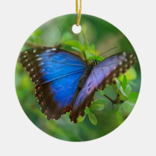 Ornamento De Cerâmica Blue Butterfly Ceramic Ornament