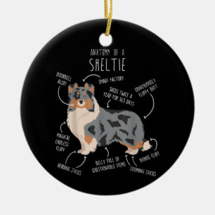 Ornamento De Cerâmica Blue Merle Sheltie Anatomia do Cão de Pastoreio de
