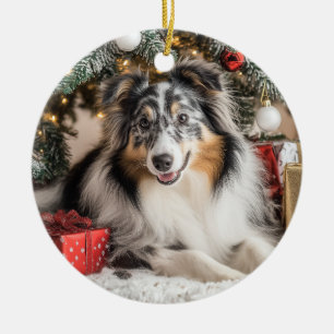Ornamento De Cerâmica Blue Merle Sheltie Natal
