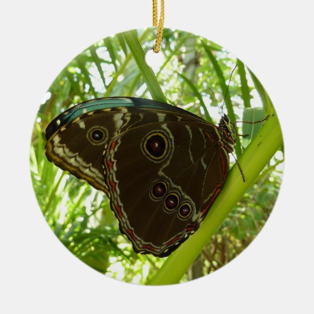 Ornamento De Cerâmica Blue Morpho Butterfly Nature Photoshop (Frente)