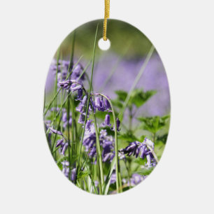Ornamento De Cerâmica Bluebells em Inglaterra