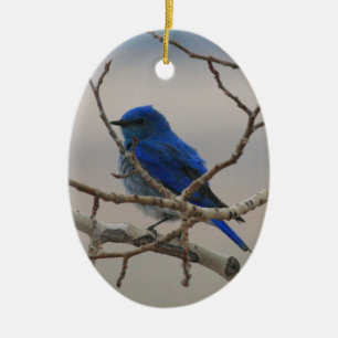 Ornamento De Cerâmica Bluebird da montanha
