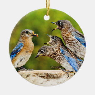 Ornamento De Cerâmica Bluebird oriental