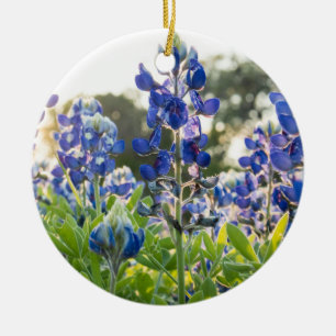 Ornamento De Cerâmica Bluebonnets Blue Flowers Texas Texan Lupine