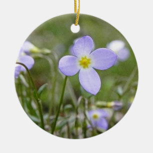 Ornamento De Cerâmica Bluets - senhoras do quacre