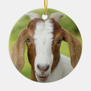 Ornamento De Cerâmica Boer Goat Nanny Kid