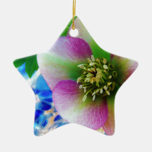 Ornamento De Cerâmica Bola de vidro azul Rosa de Lenten rosa