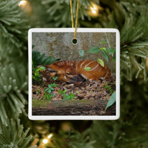 Ornamento De Cerâmica Bongo Antelope Calf Silent Night Mountain