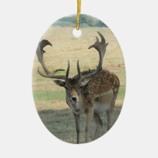 Ornamento De Cerâmica Bonita Reindeer