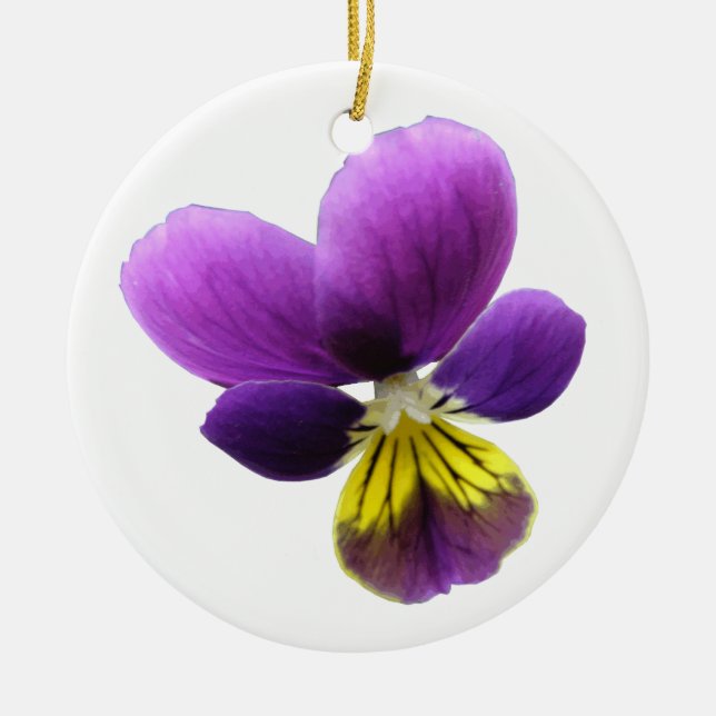 Ornamento De Cerâmica Bonito aniversário personalizado de Pansy (Frente)