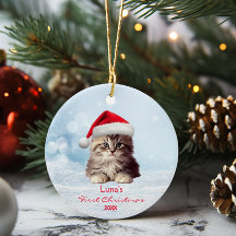 Bonito Maine Con Cat Santa Hat Neve Personalizada