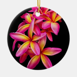 Ornamento De Cerâmica Bonito Plumeria Rosa Foto Floral
