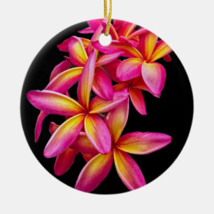 Ornamento De Cerâmica Bonito Plumeria Rosa Foto Floral