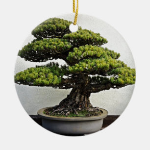 Ornamento De Cerâmica Bonsais de White Pine do japonês