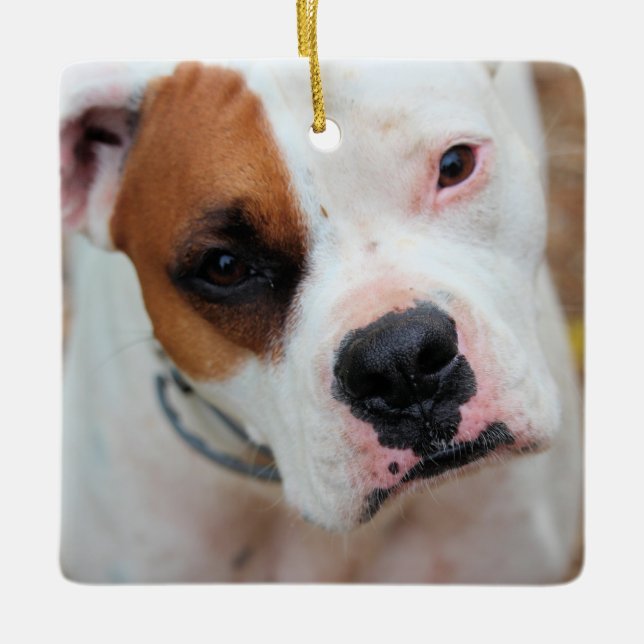 Ornamento De Cerâmica Boop (Frente)