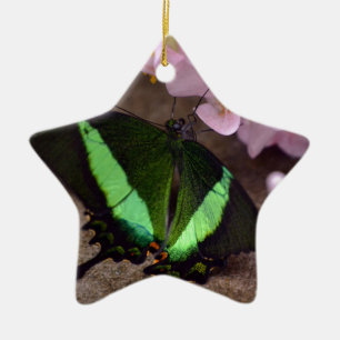 Ornamento De Cerâmica Borboleta