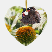 Borboleta Almirante na Flor