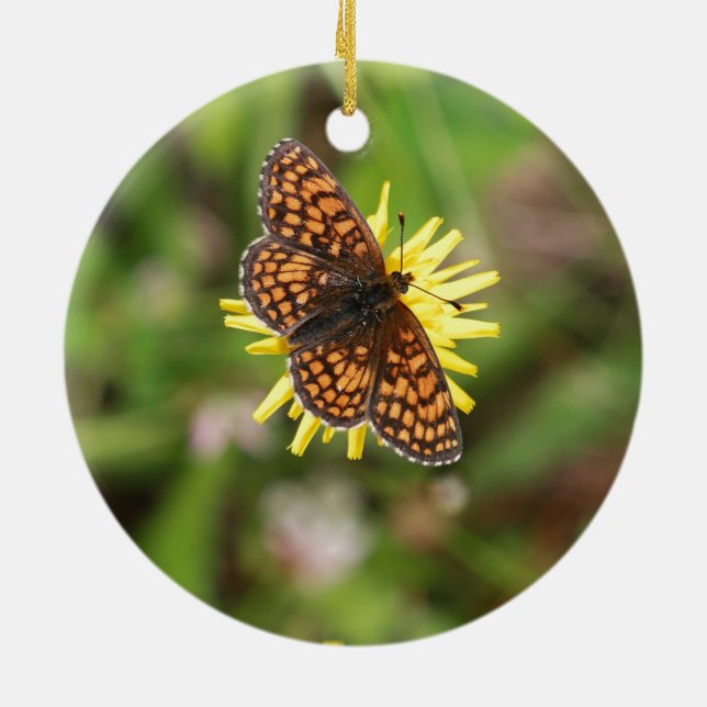 Ornamento De Cerâmica Borboleta - Bonita! (Traseira)