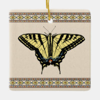 Borboleta-do-sudoeste