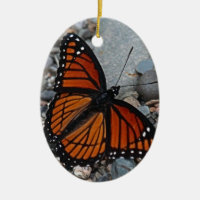 Borboleta e Pedras