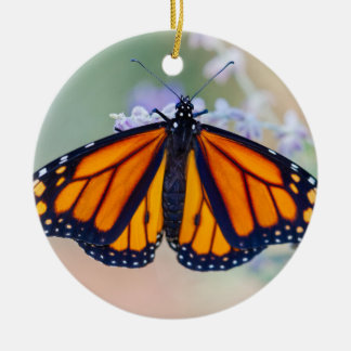 Ornamento De Cerâmica Borboleta Monarca