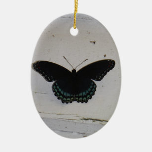 Ornamento De Cerâmica Borboleta negra e azul sobre madeira branca lavada