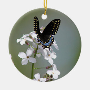 Ornamento De Cerâmica Borboleta preta do swallowtail