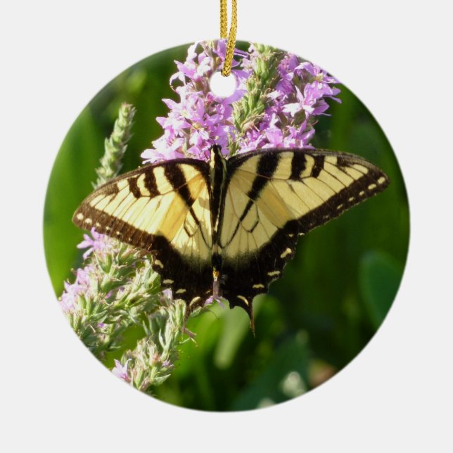 Ornamento De Cerâmica Borboleta Rabo de Andorinha em Flores Silvestres R (Frente)