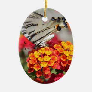 Ornamento De Cerâmica Borboleta-zebra branca e negra