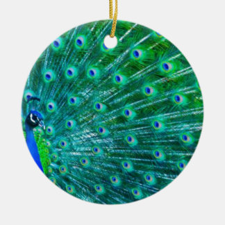 Ornamento De Cerâmica Borboletas e pavão