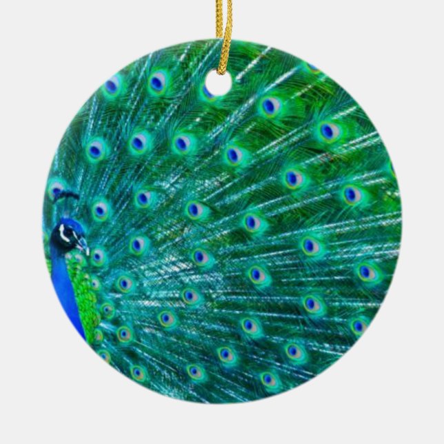 Ornamento De Cerâmica Borboletas e pavão (Frente)