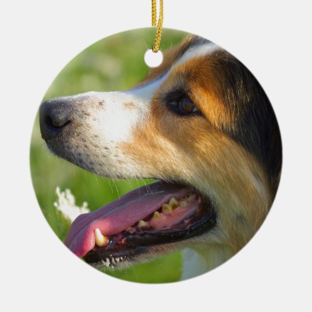Ornamento De Cerâmica Border collie (Frente)